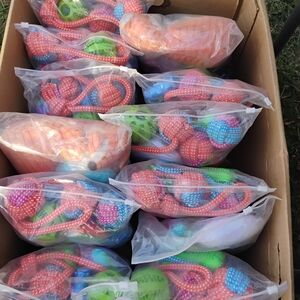 Colorful Dog Toy Set